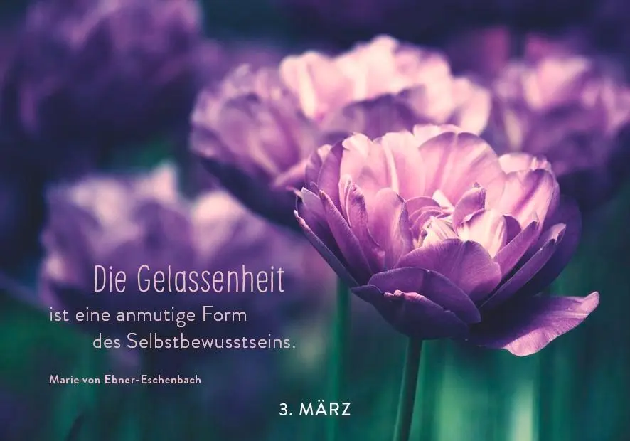 Bild: 9783629009838 | 365 mal Gelassenheit | Pattloch Verlag | Taschenbuch | 384 S.
