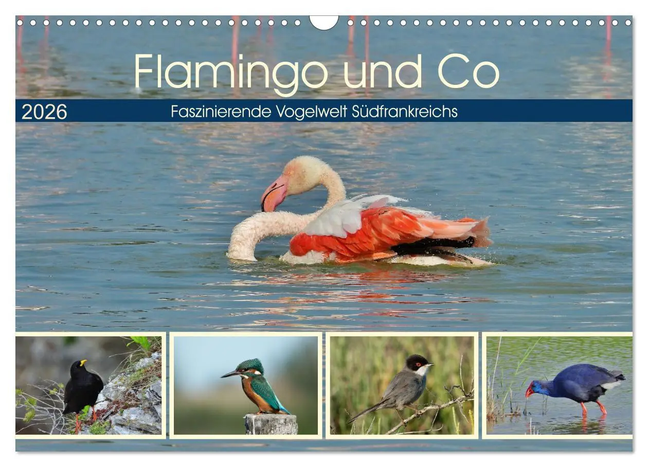 Cover: 9783457780039 | Flamingo und Co - Faszinierende Vogelwelt Südfrankreichs...