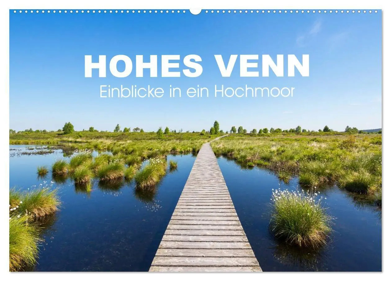Cover: 9783569960039 | HOHES VENN - Einblicke in ein Hochmoor (Wandkalender 2027 DIN A2...