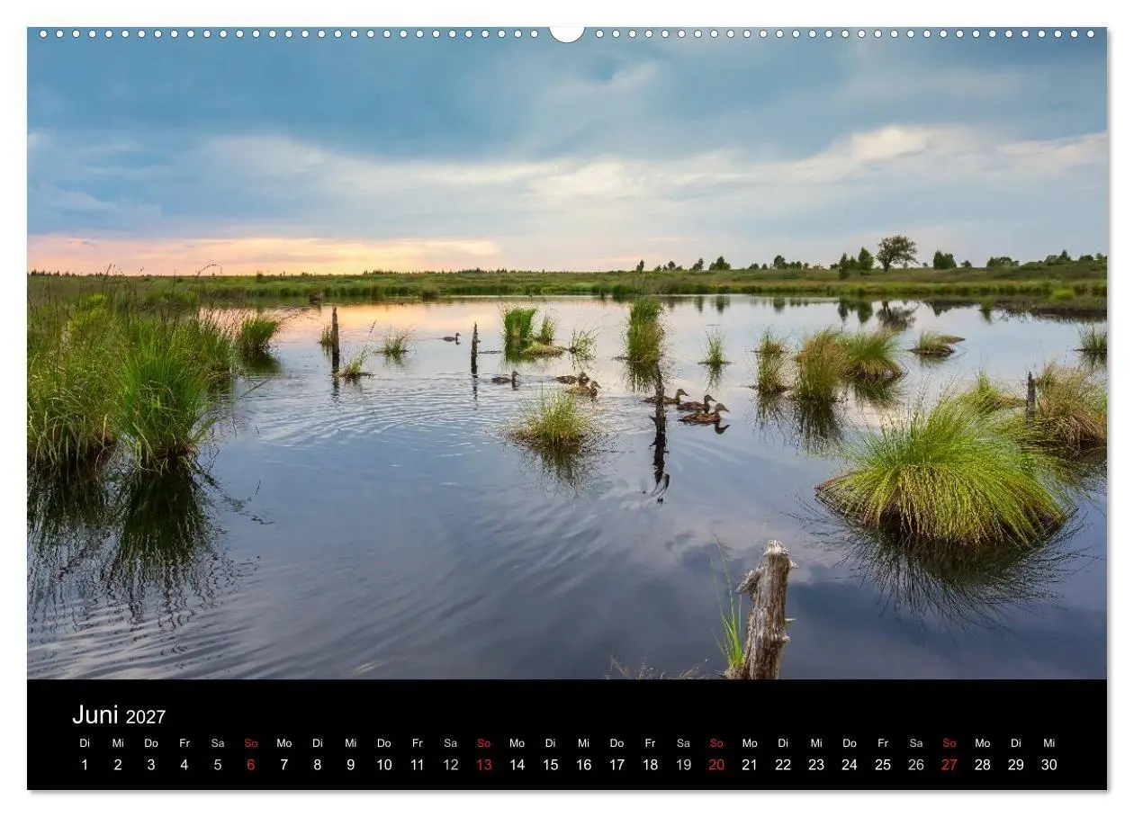 Bild: 9783569960039 | HOHES VENN - Einblicke in ein Hochmoor (Wandkalender 2027 DIN A2...