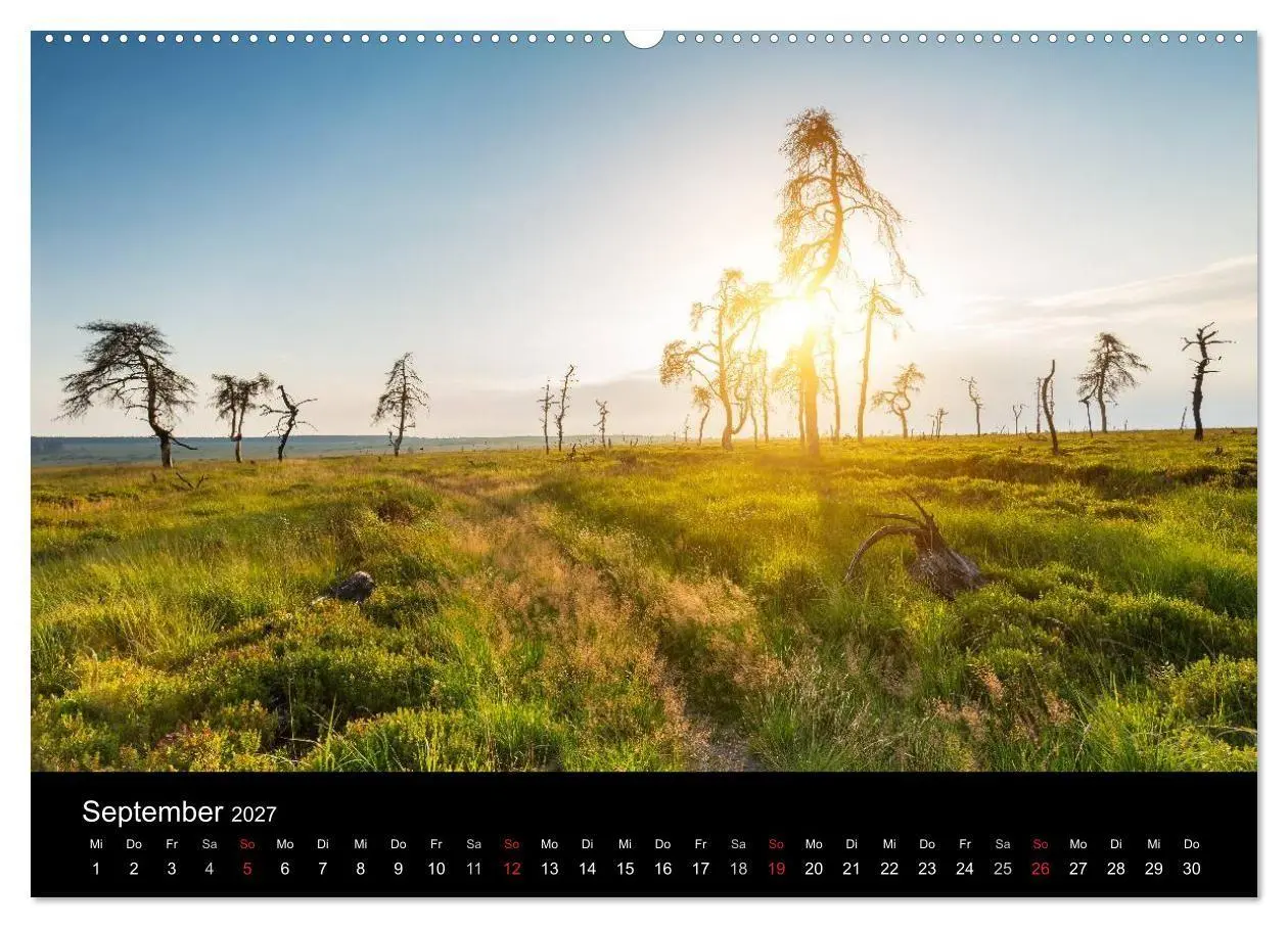 Bild: 9783569960039 | HOHES VENN - Einblicke in ein Hochmoor (Wandkalender 2027 DIN A2...