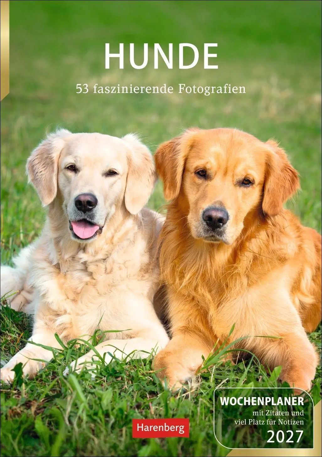 Cover: 9783840040139 | Hunde Wochenplaner 2027 - 53 faszinierende Fotografien | Kalender