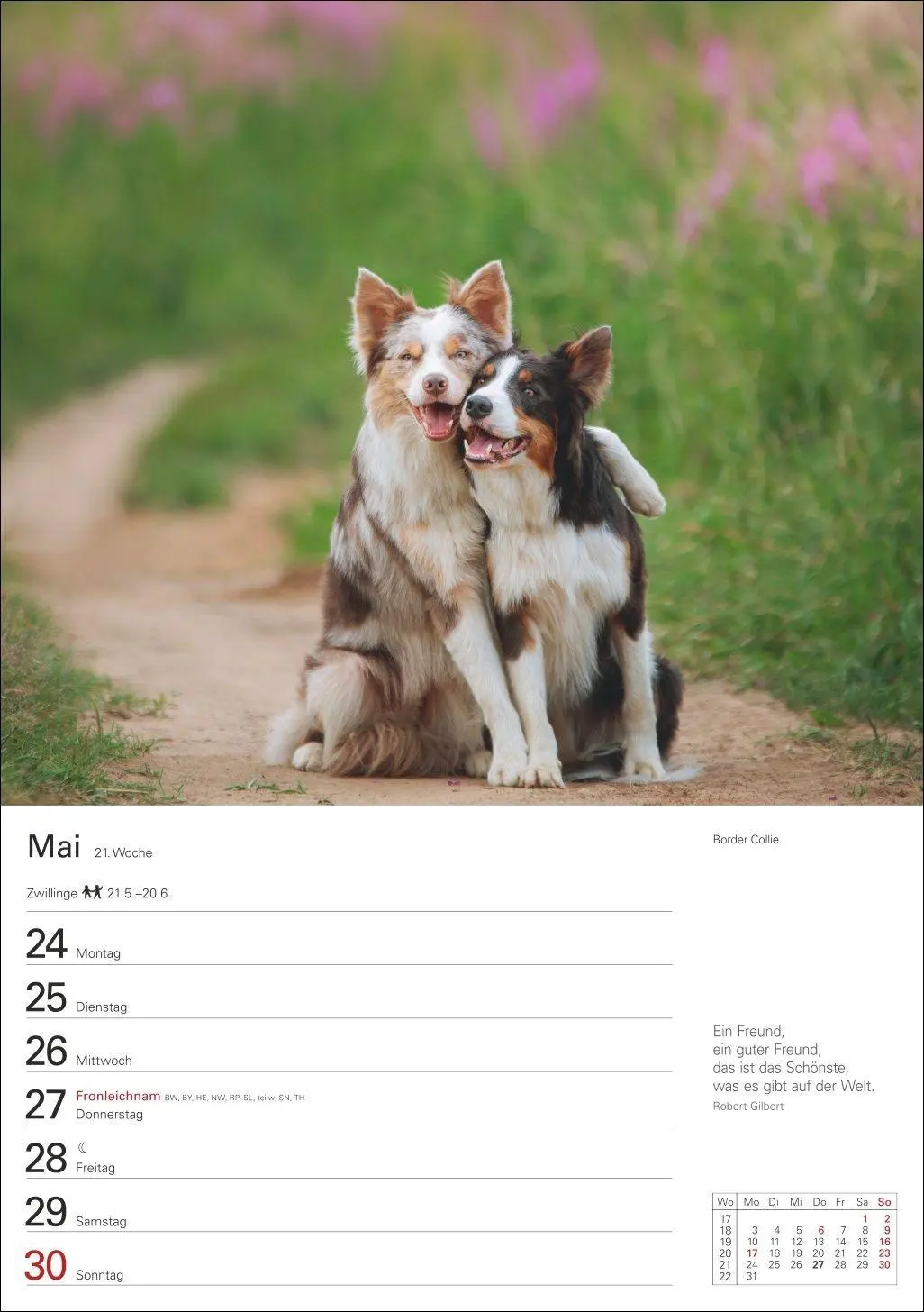Bild: 9783840040139 | Hunde Wochenplaner 2027 - 53 faszinierende Fotografien | Kalender