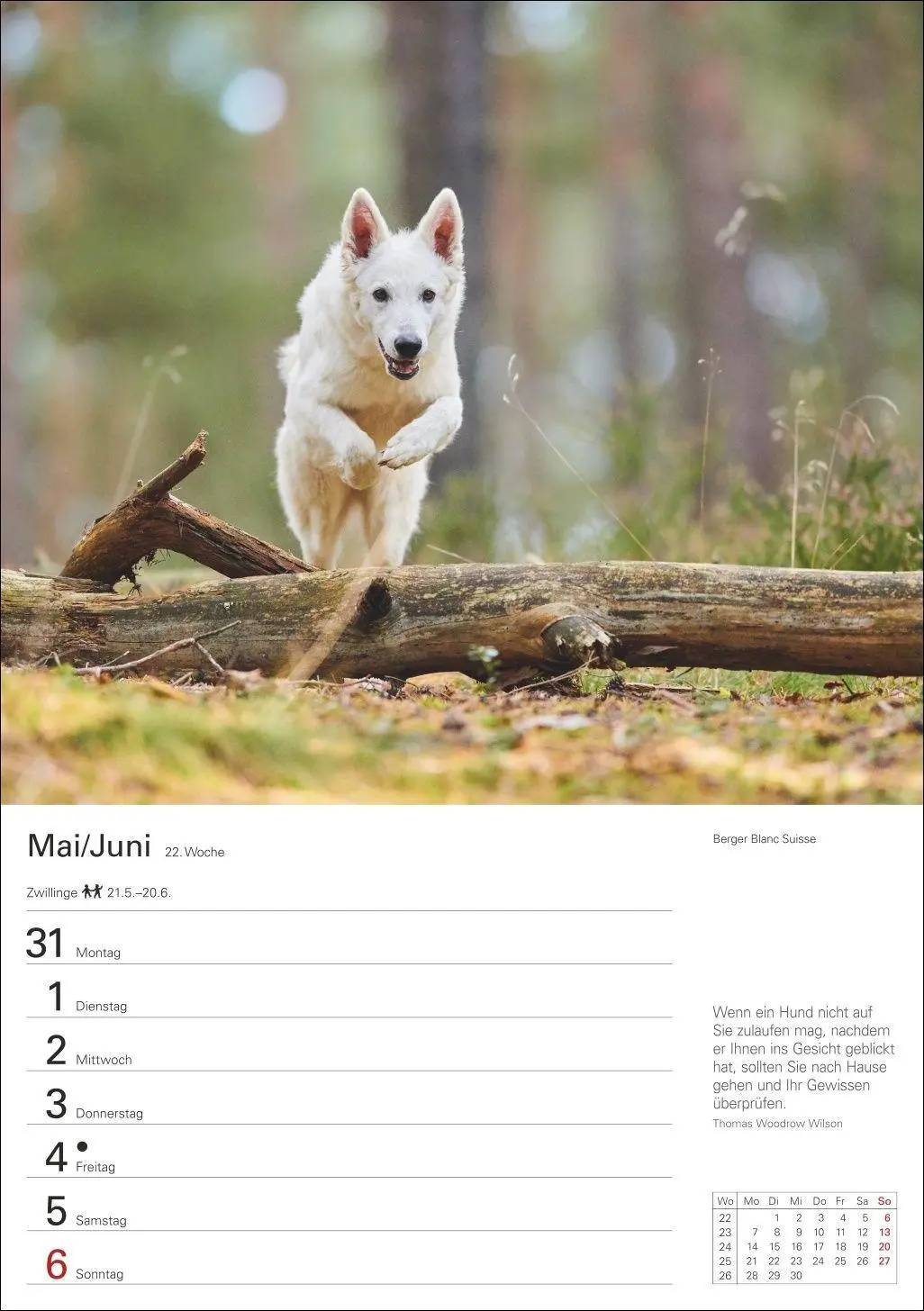 Bild: 9783840040139 | Hunde Wochenplaner 2027 - 53 faszinierende Fotografien | Kalender