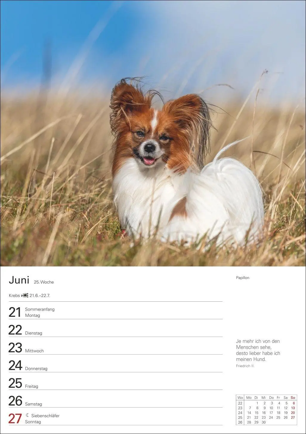 Bild: 9783840040139 | Hunde Wochenplaner 2027 - 53 faszinierende Fotografien | Kalender