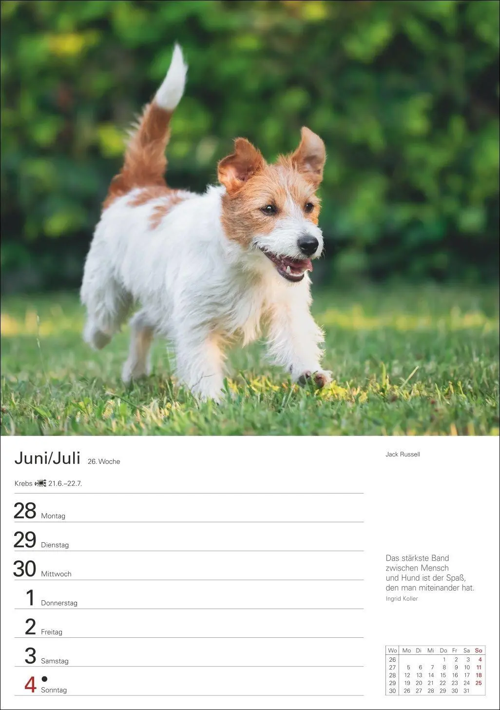 Bild: 9783840040139 | Hunde Wochenplaner 2027 - 53 faszinierende Fotografien | Kalender