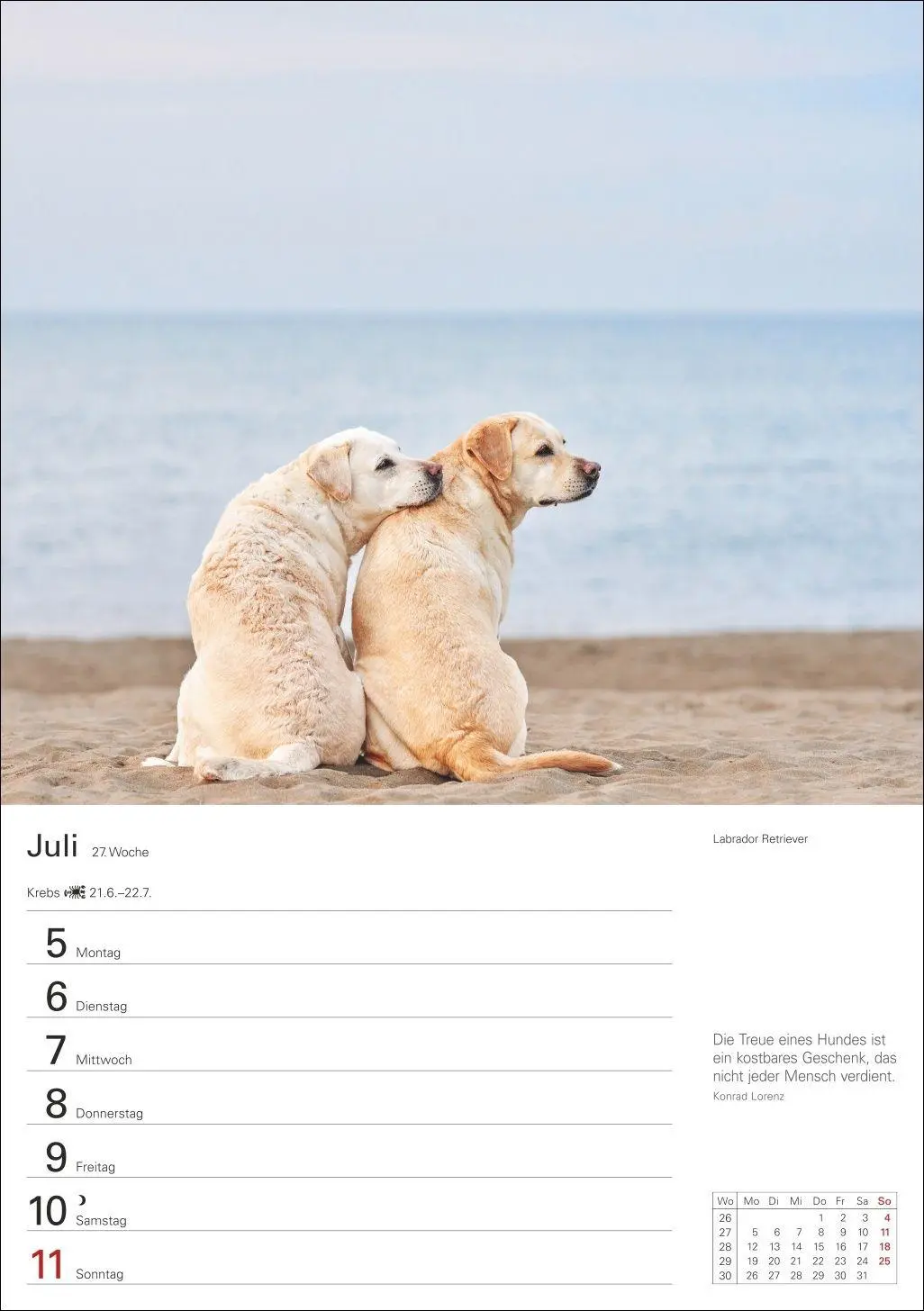 Bild: 9783840040139 | Hunde Wochenplaner 2027 - 53 faszinierende Fotografien | Kalender