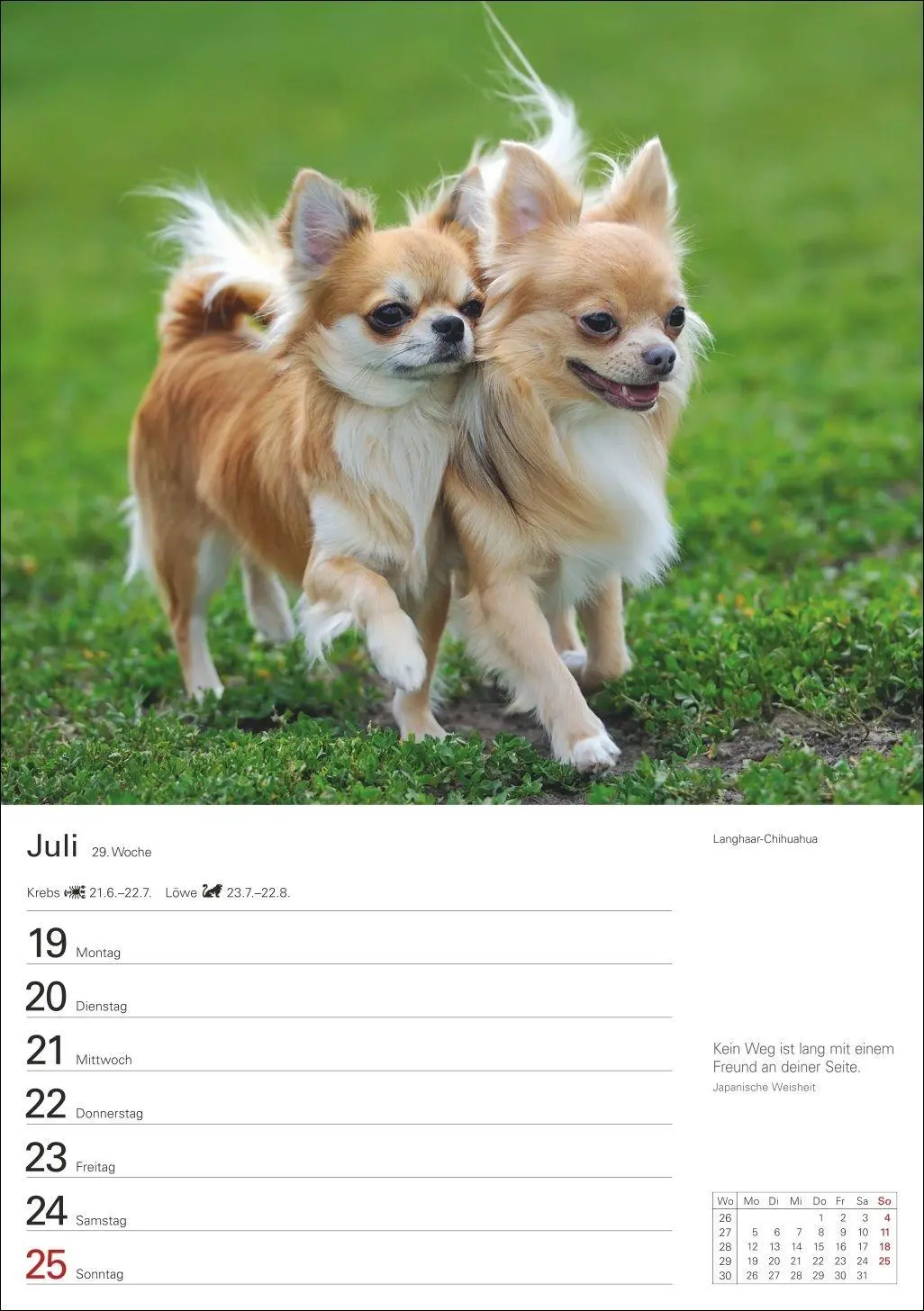 Bild: 9783840040139 | Hunde Wochenplaner 2027 - 53 faszinierende Fotografien | Kalender
