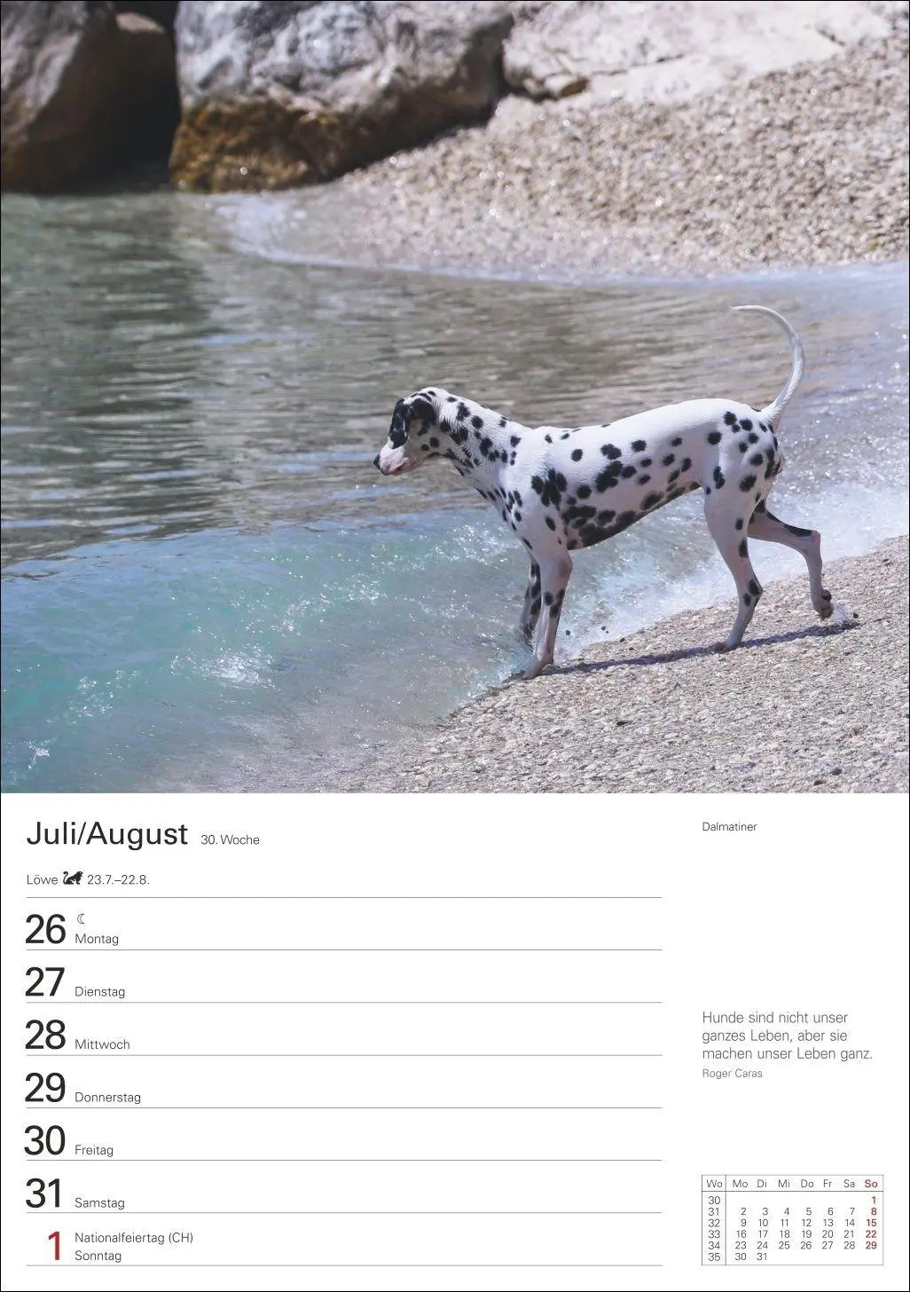Bild: 9783840040139 | Hunde Wochenplaner 2027 - 53 faszinierende Fotografien | Kalender