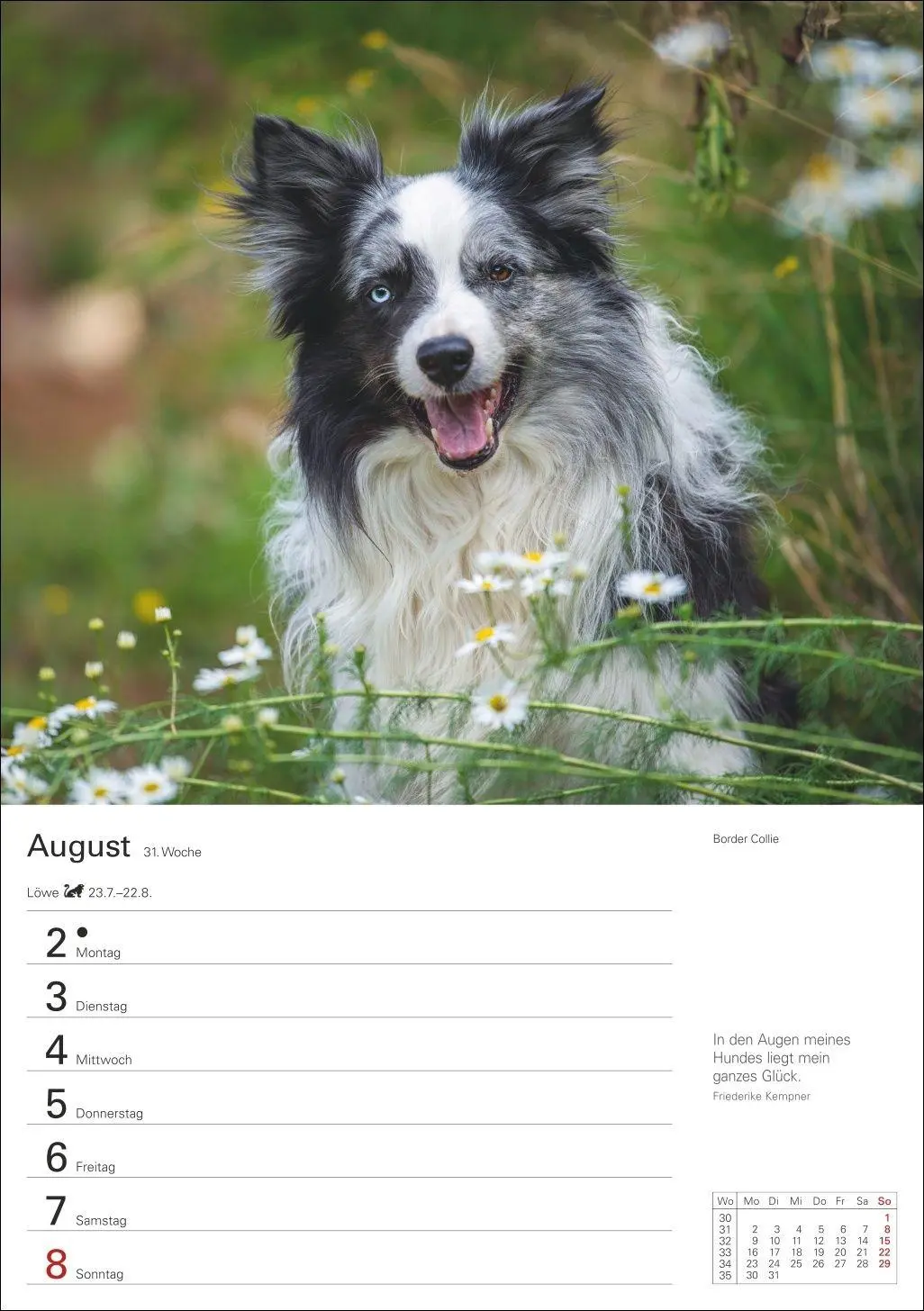 Bild: 9783840040139 | Hunde Wochenplaner 2027 - 53 faszinierende Fotografien | Kalender