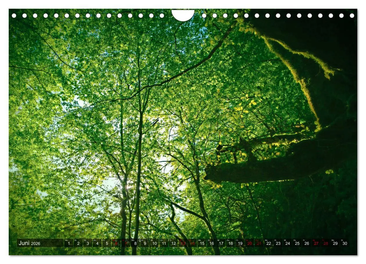 Bild: 9783457900239 | Slowenien - Soca Tal (Wandkalender 2026 DIN A4 quer), CALVENDO...