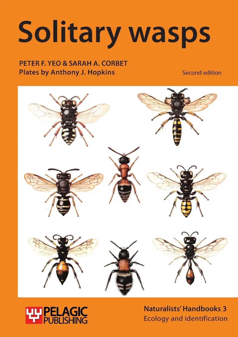Cover: 9781784270339 | Solitary wasps | Peter F. Yeo (u. a.) | Taschenbuch | Englisch | 2015