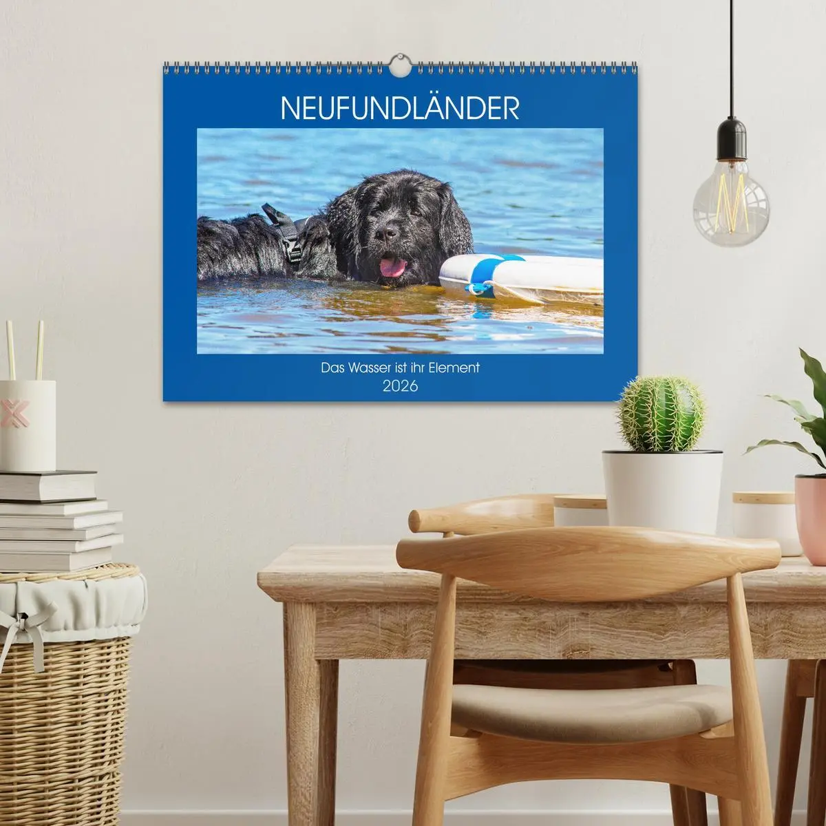 Bild: 9783457820339 | Neufundländer - Das Wasser ist ihr Element (Wandkalender 2026 DIN...