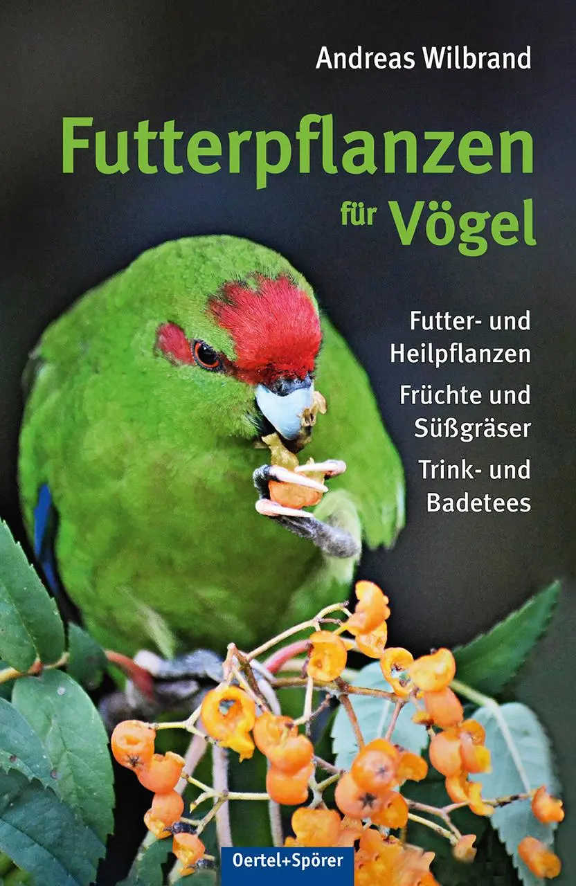 Cover: 9783965550339 | Futterpflanzen für Vögel | Andreas Wilbrand | Taschenbuch | 254 S.