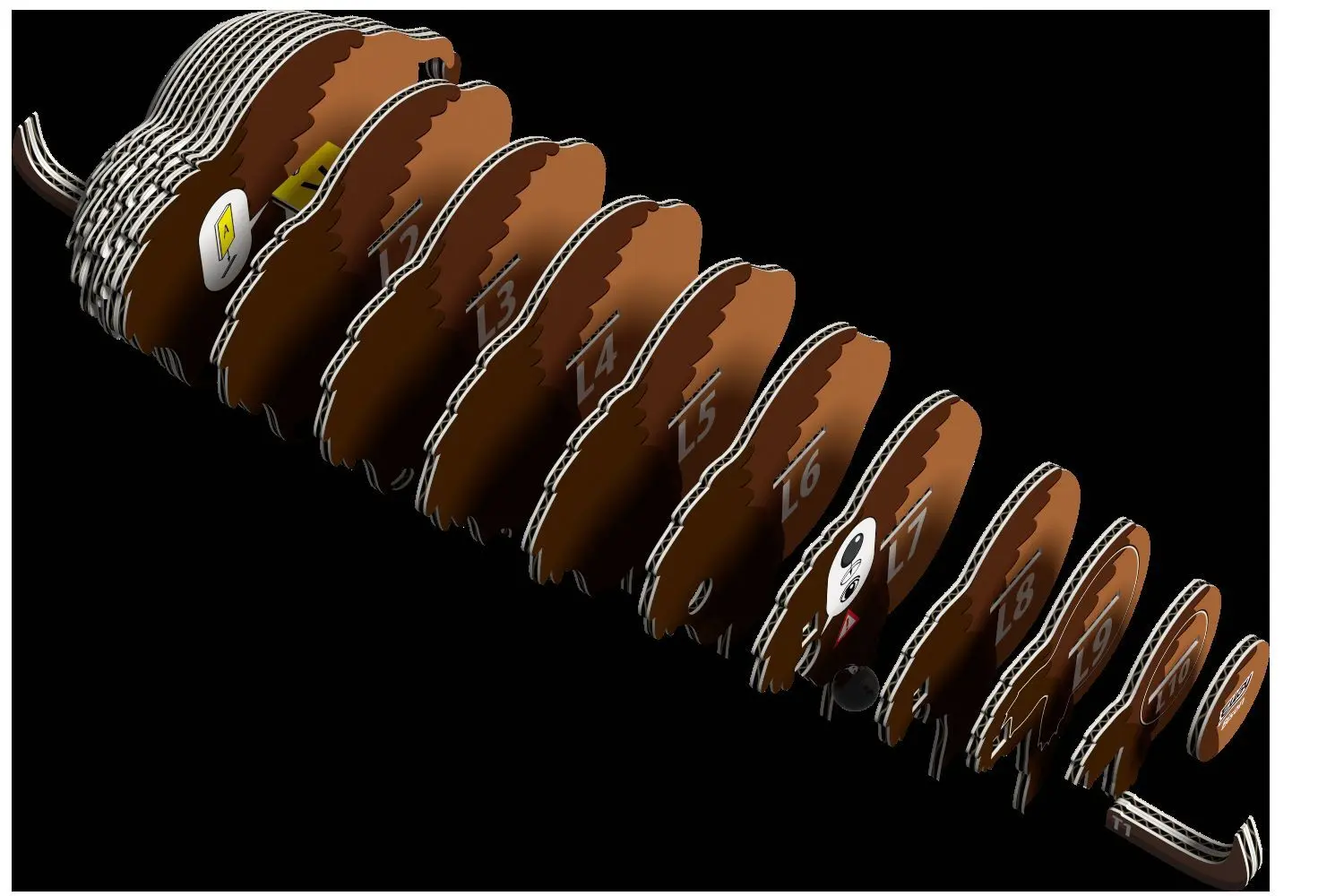 Bild: 9421035150439 | EUGY - 3D Bastelset Bison | Kit (Bastelset) | In Karton | 650045