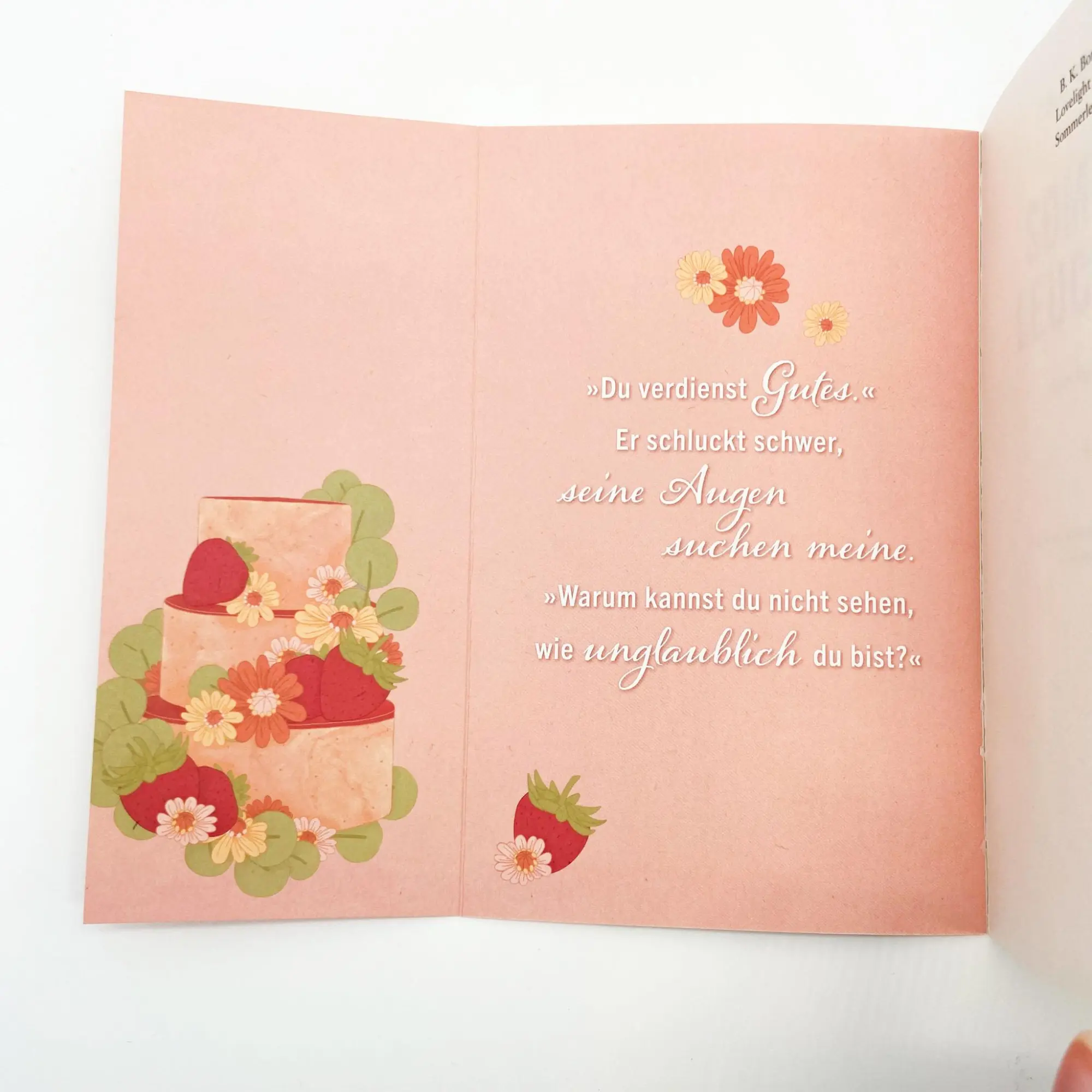 Bild: 9783423220439 | Lovelight Farms - Sommerleuchten | B. K. Borison | Taschenbuch | 2024