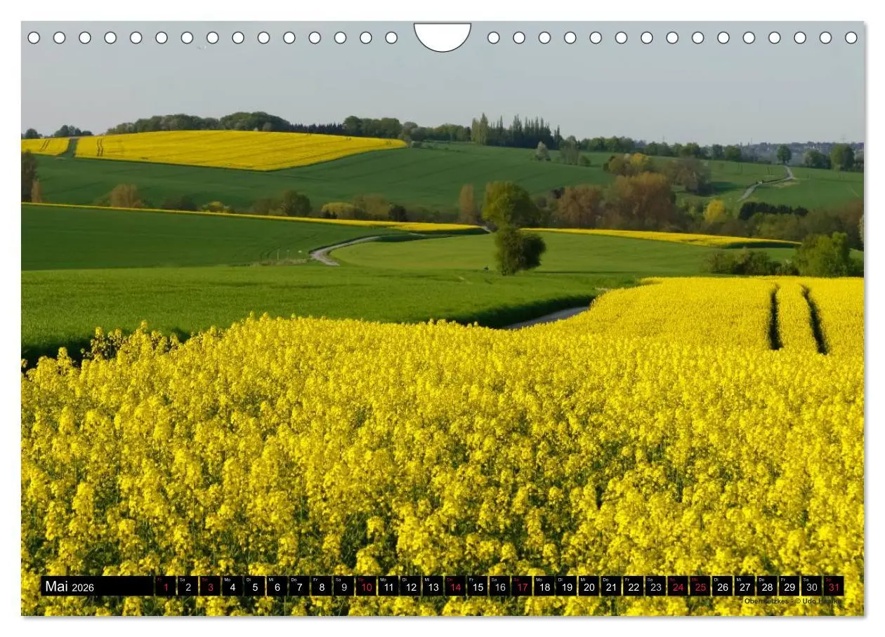 Bild: 9783516070439 | Mettmanner Bilderbogen 2026 (Wandkalender 2026 DIN A4 quer),...