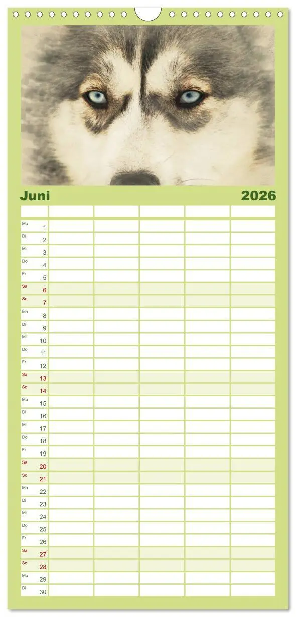 Bild: 9783516520439 | Familienplaner 2026 - Schlittenhunde 2026 mit 5 Spalten...