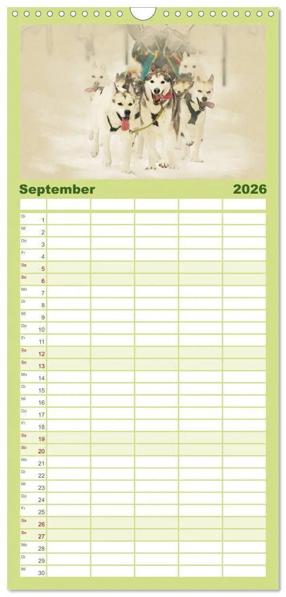 Bild: 9783516520439 | Familienplaner 2026 - Schlittenhunde 2026 mit 5 Spalten...
