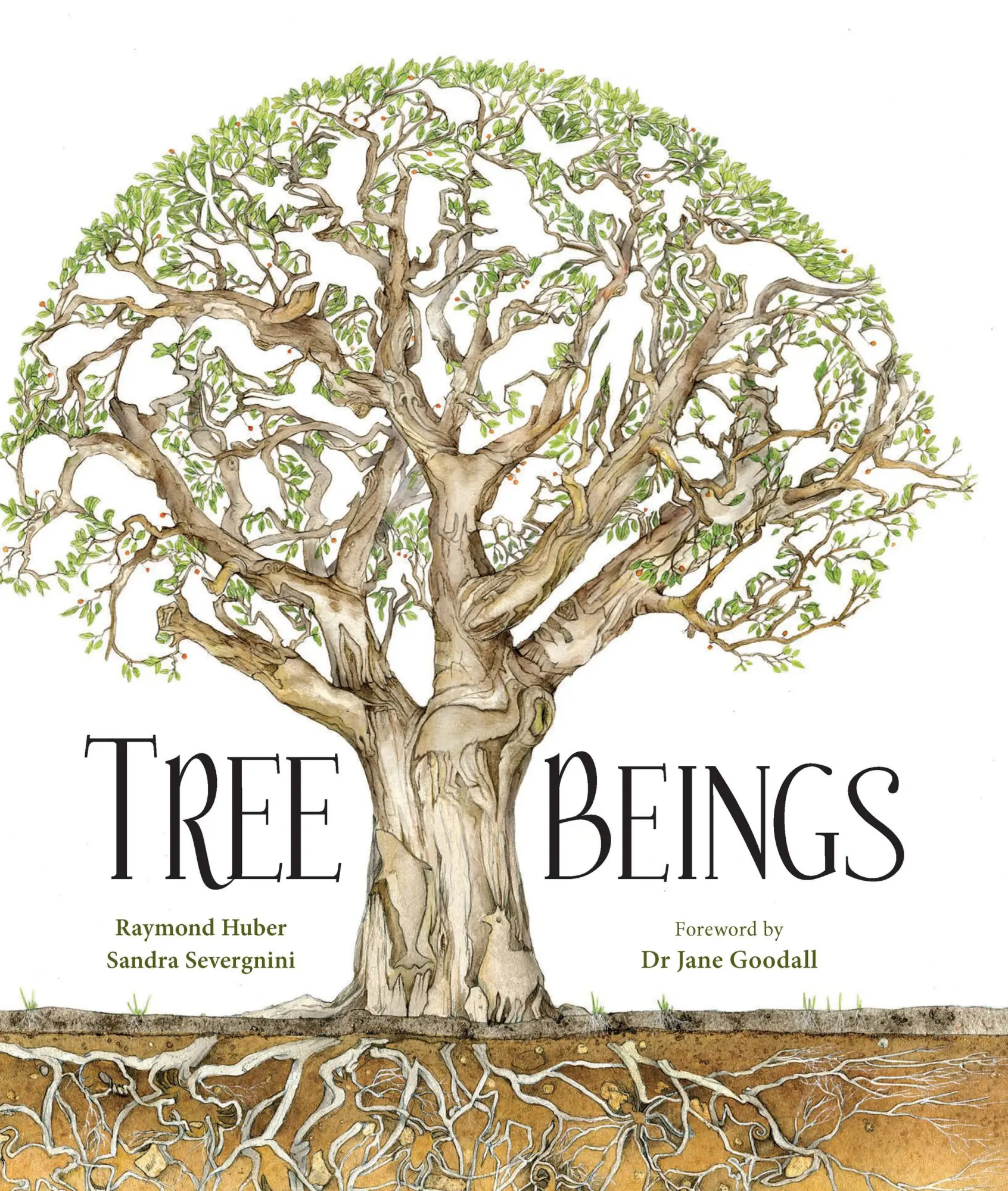 Cover: 9781925820539 | Tree Beings | Raymond Huber (u. a.) | Buch | Gebunden | Englisch