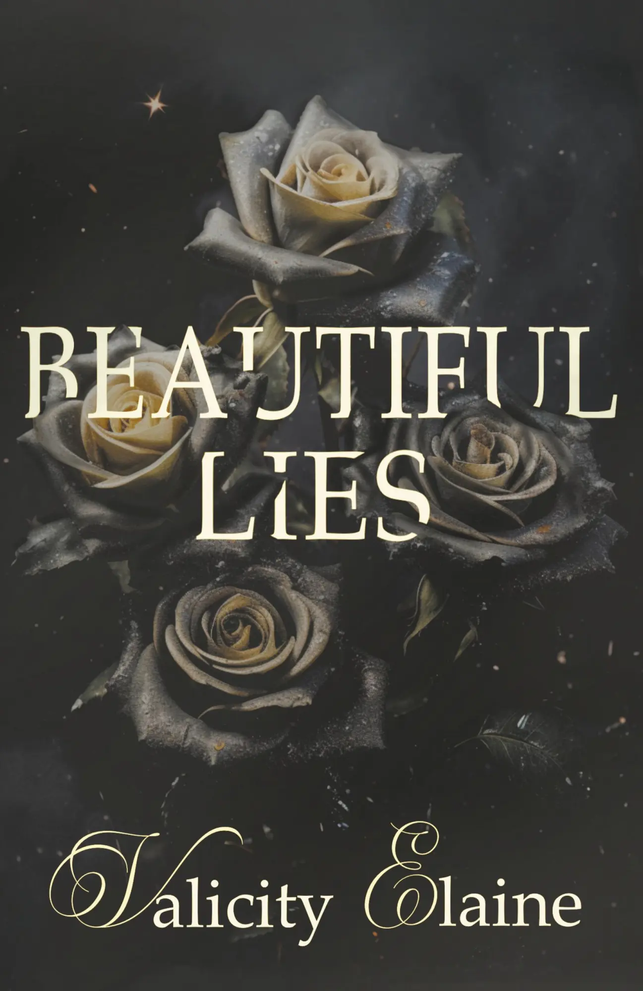 Cover: 9781957290539 | Beautiful Lies | Valicity Elaine | Taschenbuch | Englisch | 2023