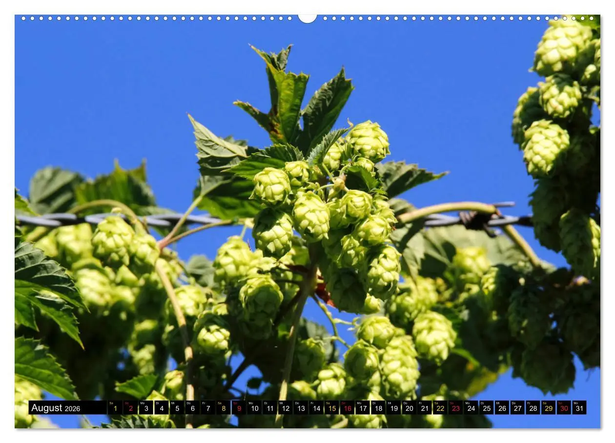 Bild: 9783457730539 | Biergenuss zu jeder Jahreszeit (hochwertiger Premium Wandkalender...
