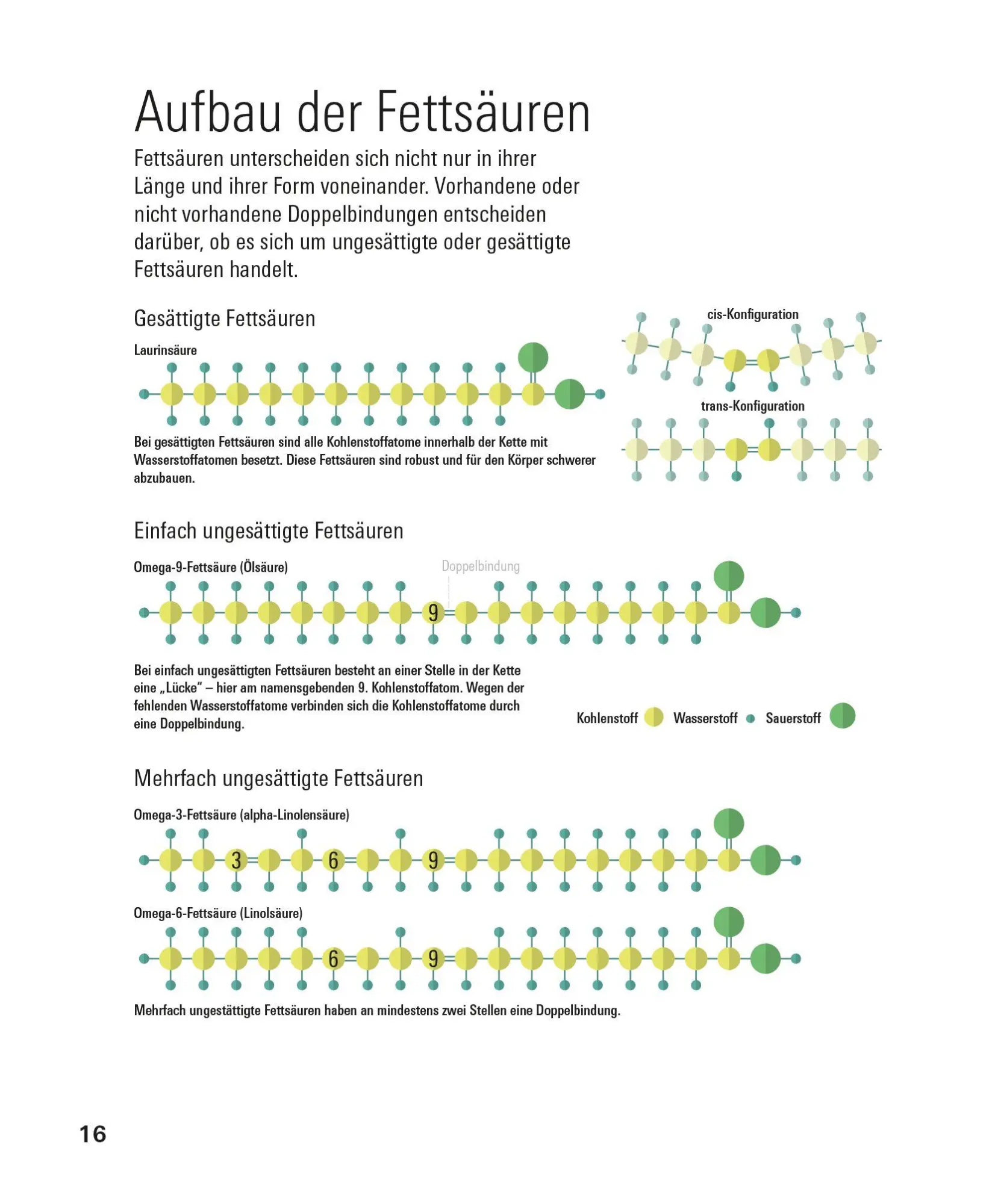 Bild: 9783747110539 | Fette und Fettsäuren | Angela Bechthold | Taschenbuch | 208 S. | 2026