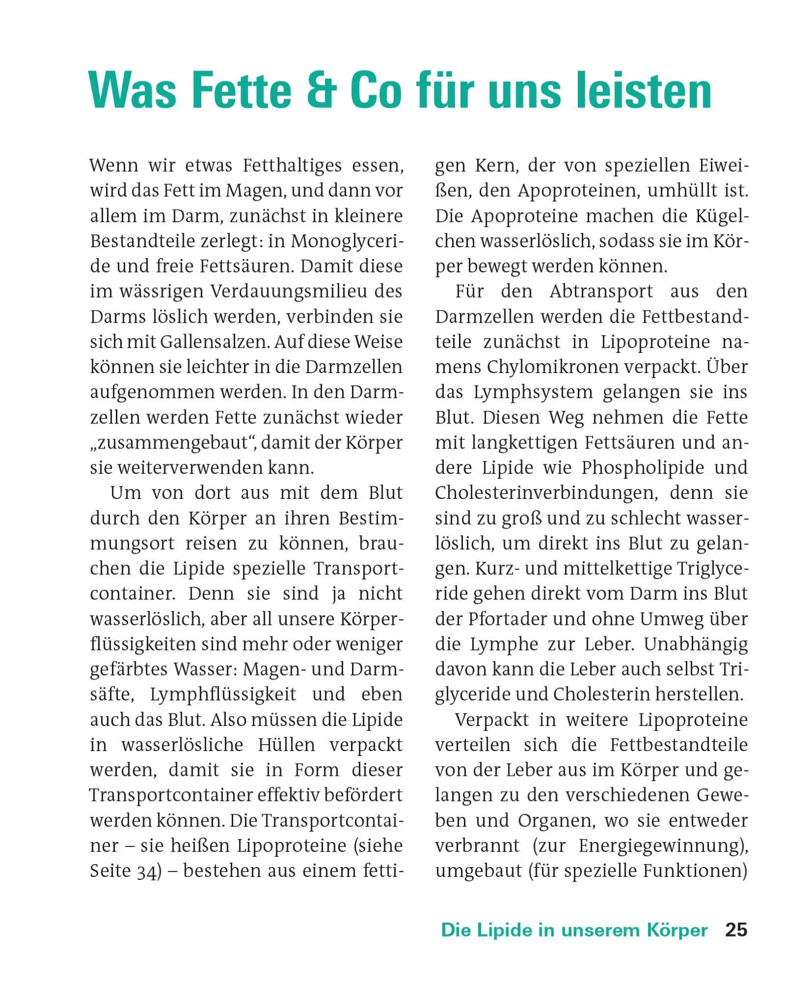 Bild: 9783747110539 | Fette und Fettsäuren | Angela Bechthold | Taschenbuch | 208 S. | 2026
