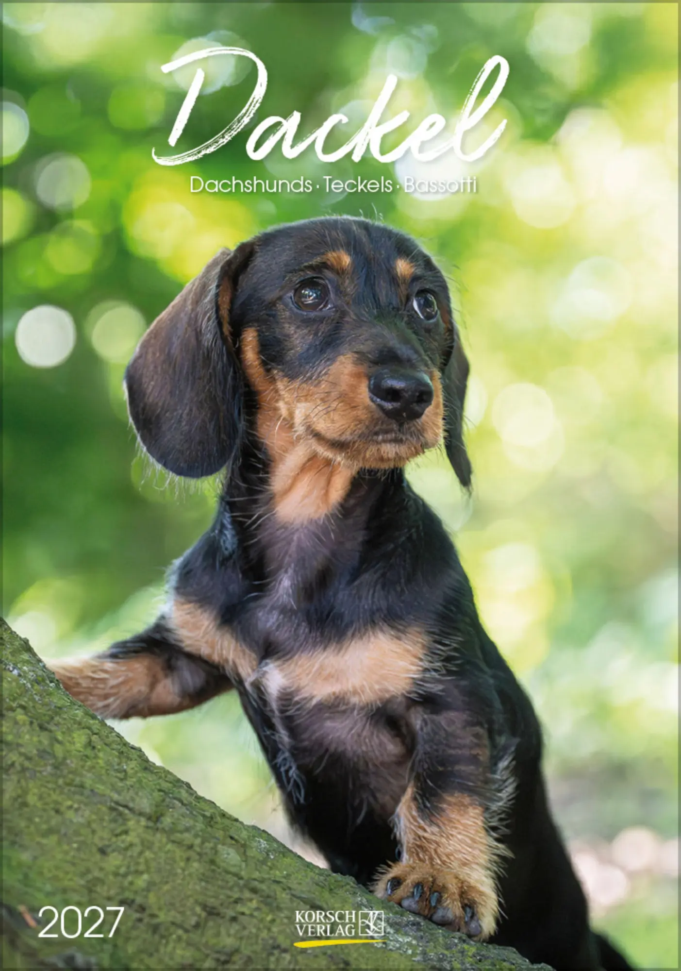 Cover: 9783819300639 | Dackel 2027 | Verlag Korsch | Kalender | Spiralbindung | 13 S. | 2027