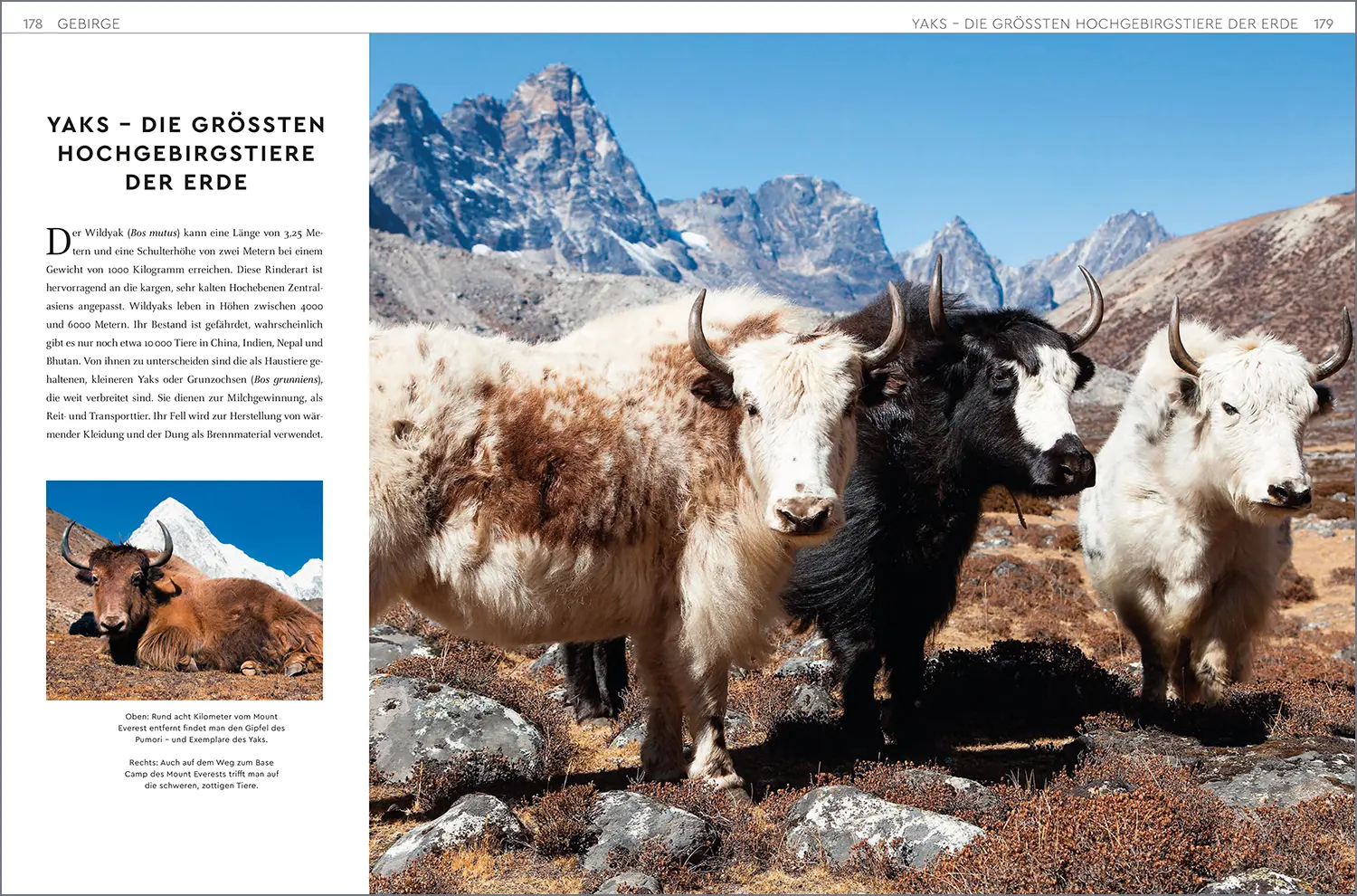 Bild: 9783969650639 | KUNTH Weltatlas Der neue Atlas der Welt | KUNTH Verlag | Buch | 2022