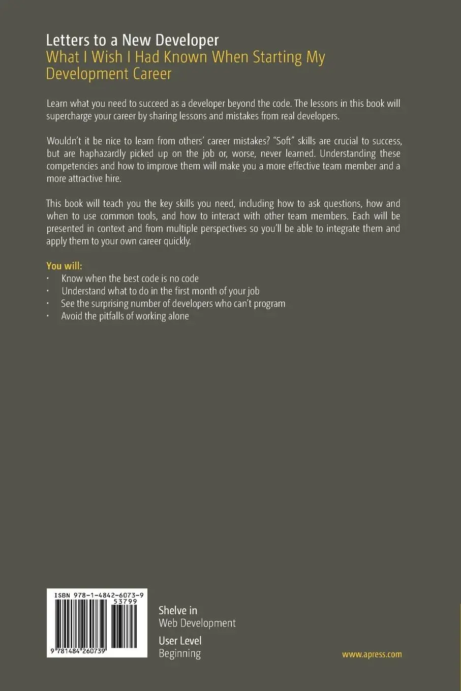 Rückseite: 9781484260739 | Letters to a New Developer | Dan Moore | Taschenbuch | xiii | Englisch