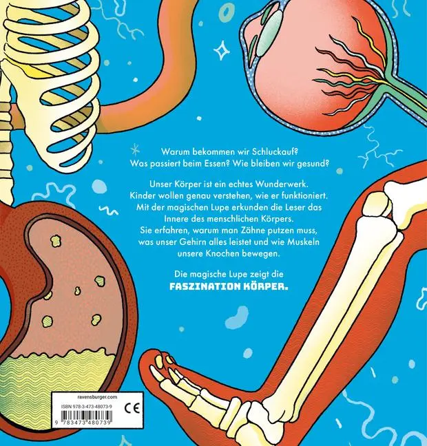 Bild: 9783473480739 | Faszination Körper | Jane Wilsher | Buch | 48 S. | Deutsch | 2024