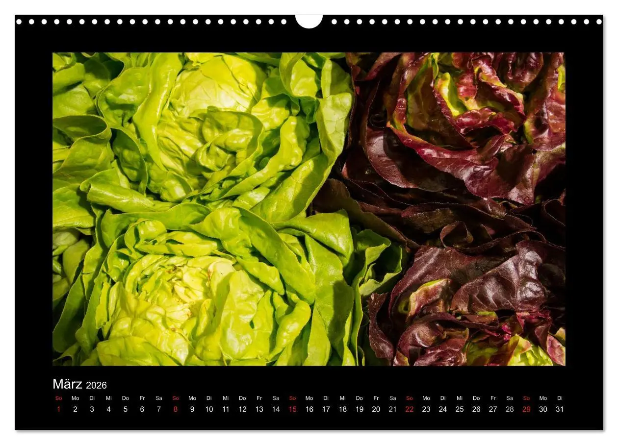 Bild: 9783516110739 | essbar - Buntes Obst und Gemüse (Wandkalender 2026 DIN A3 quer),...