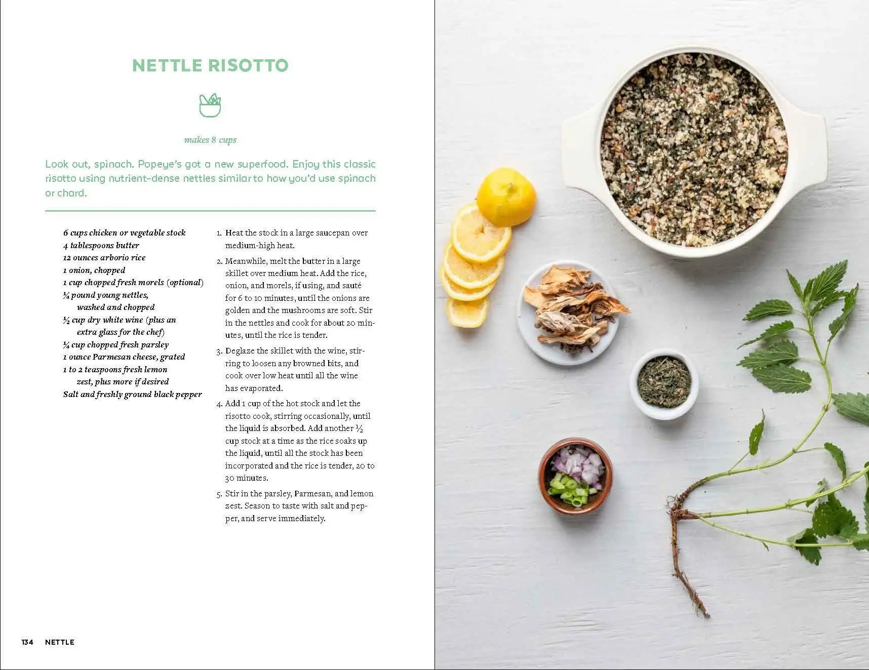 Bild: 9781643260839 | Urban Foraging | Find, Gather, and Cook 50 Wild Plants | Lisa M Rose