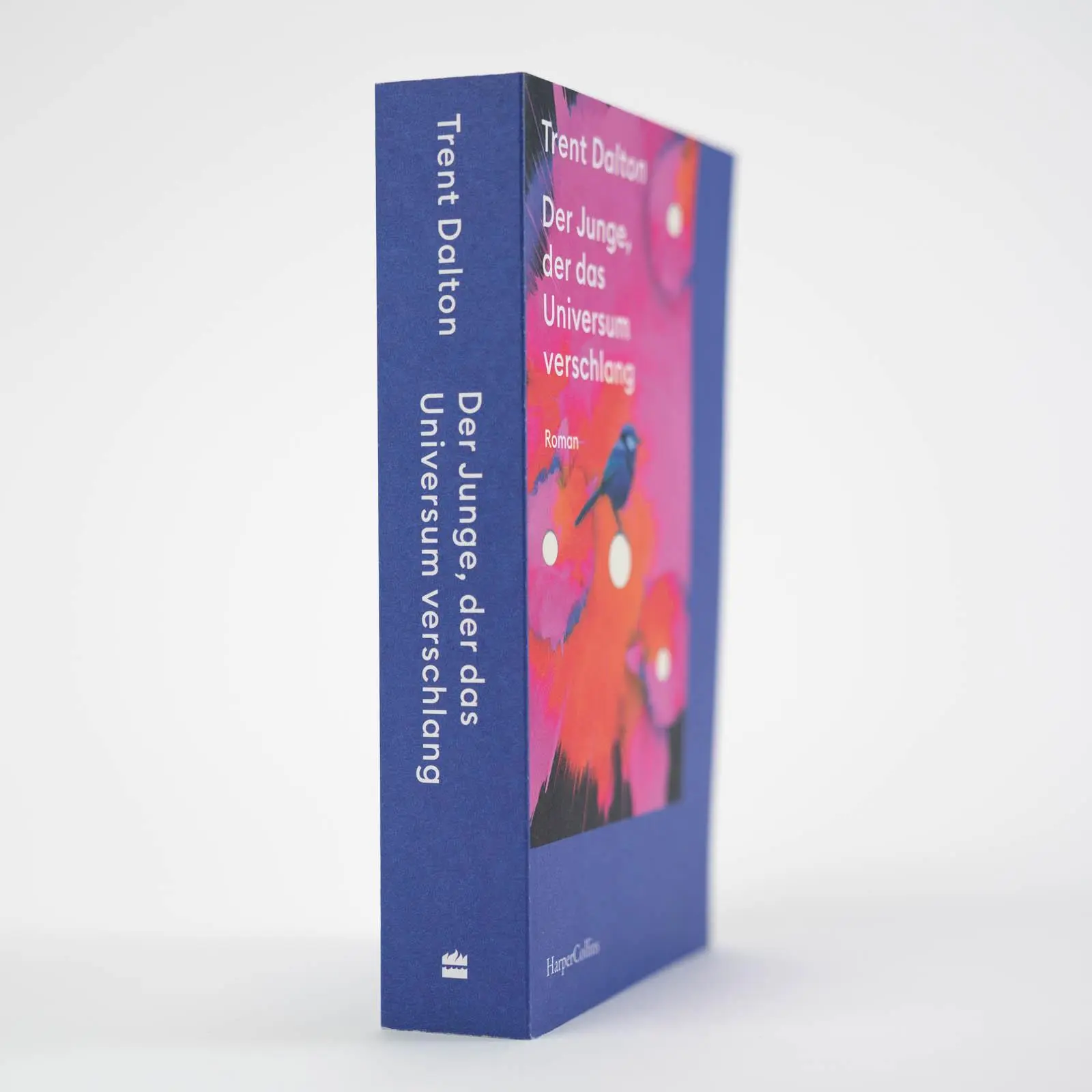 Bild: 9783365000939 | Der Junge, der das Universum verschlang | Trent Dalton | Taschenbuch