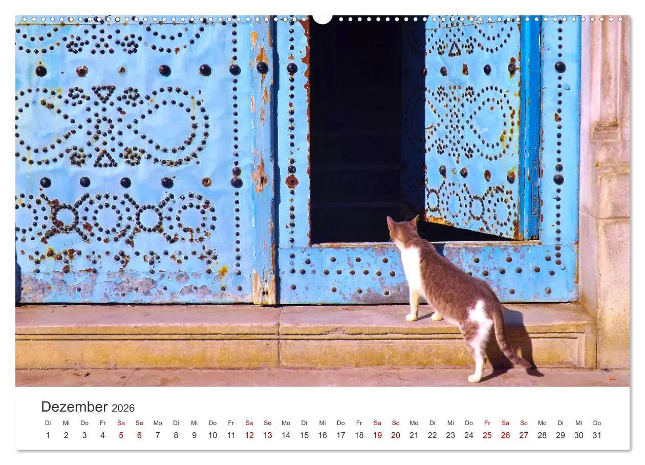Bild: 9783457550939 | Faszination Tunesien (Wandkalender 2026 DIN A2 quer), CALVENDO...