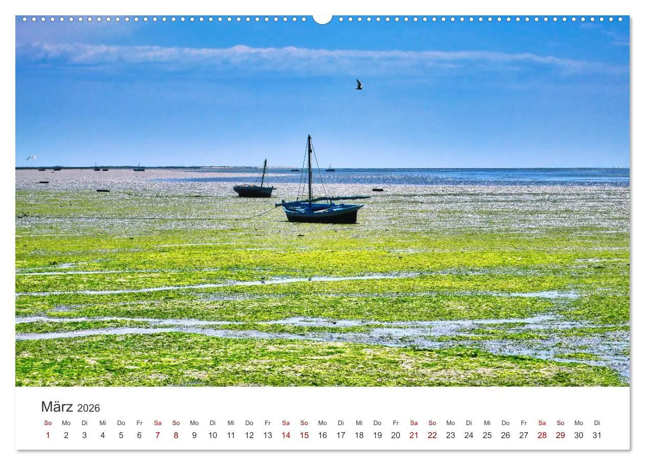 Bild: 9783457550939 | Faszination Tunesien (Wandkalender 2026 DIN A2 quer), CALVENDO...