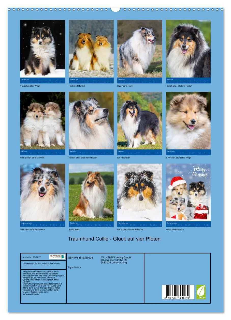 Bild: 9783516330939 | Traumhund Collie - Glück auf vier Pfoten (hochwertiger Premium...