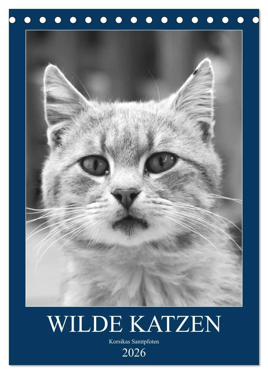 Cover: 9783516391039 | Wilde Katzen - Korsikas Samtpfoten (Tischkalender 2026 DIN A5...