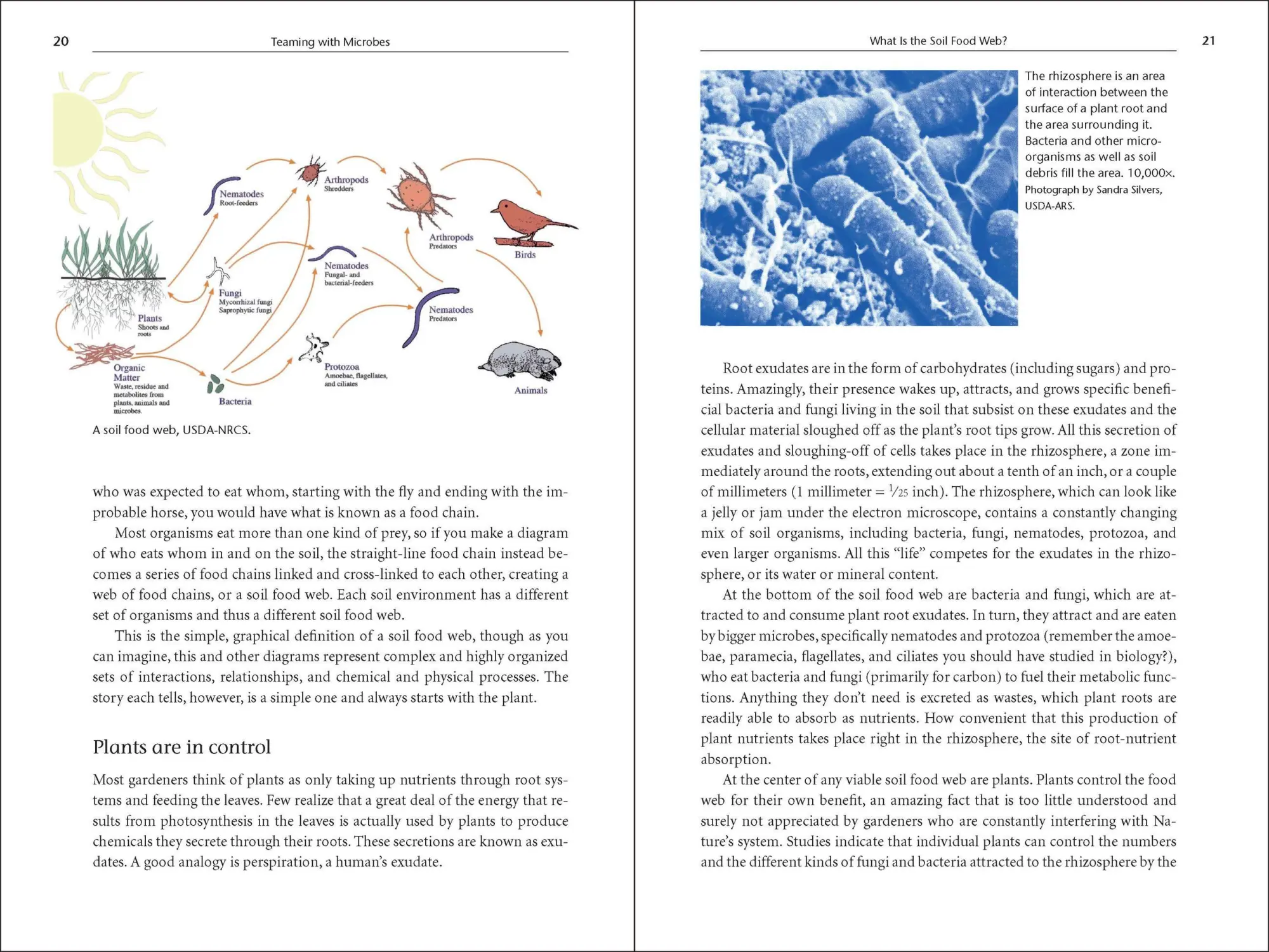 Bild: 9781604691139 | Teaming with Microbes | Jeff Lowenfels (u. a.) | Buch | Gebunden