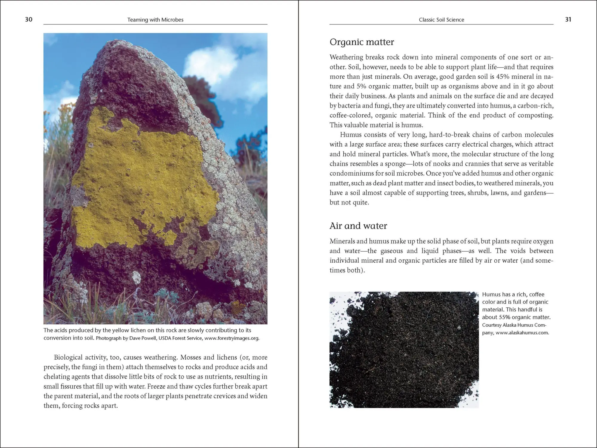 Bild: 9781604691139 | Teaming with Microbes | Jeff Lowenfels (u. a.) | Buch | Gebunden