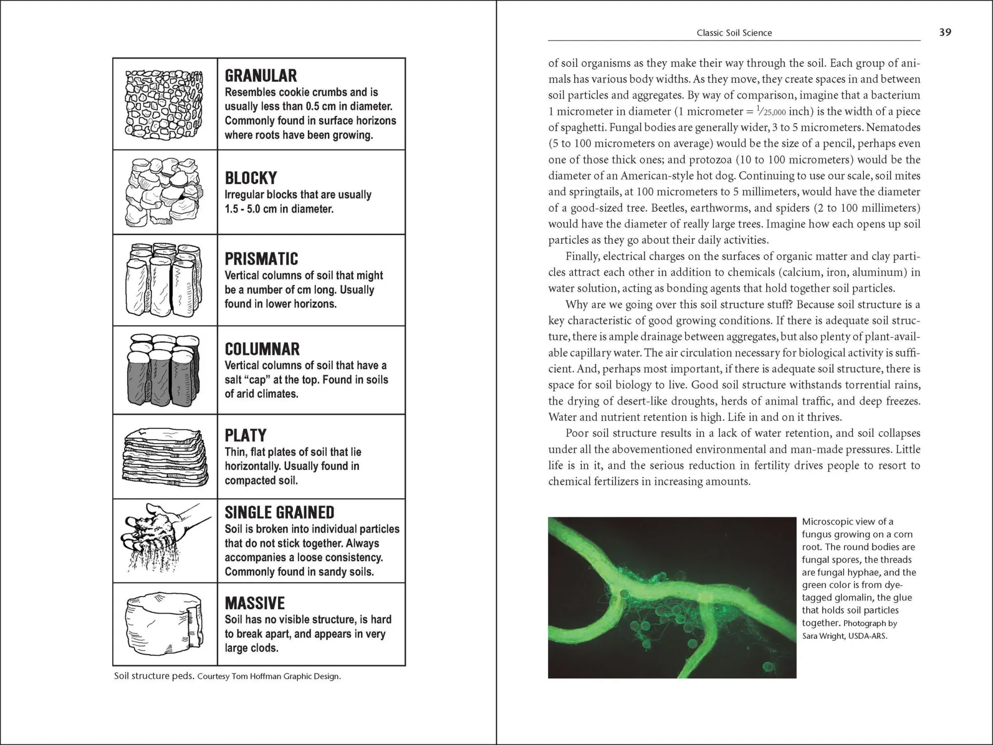 Bild: 9781604691139 | Teaming with Microbes | Jeff Lowenfels (u. a.) | Buch | Gebunden