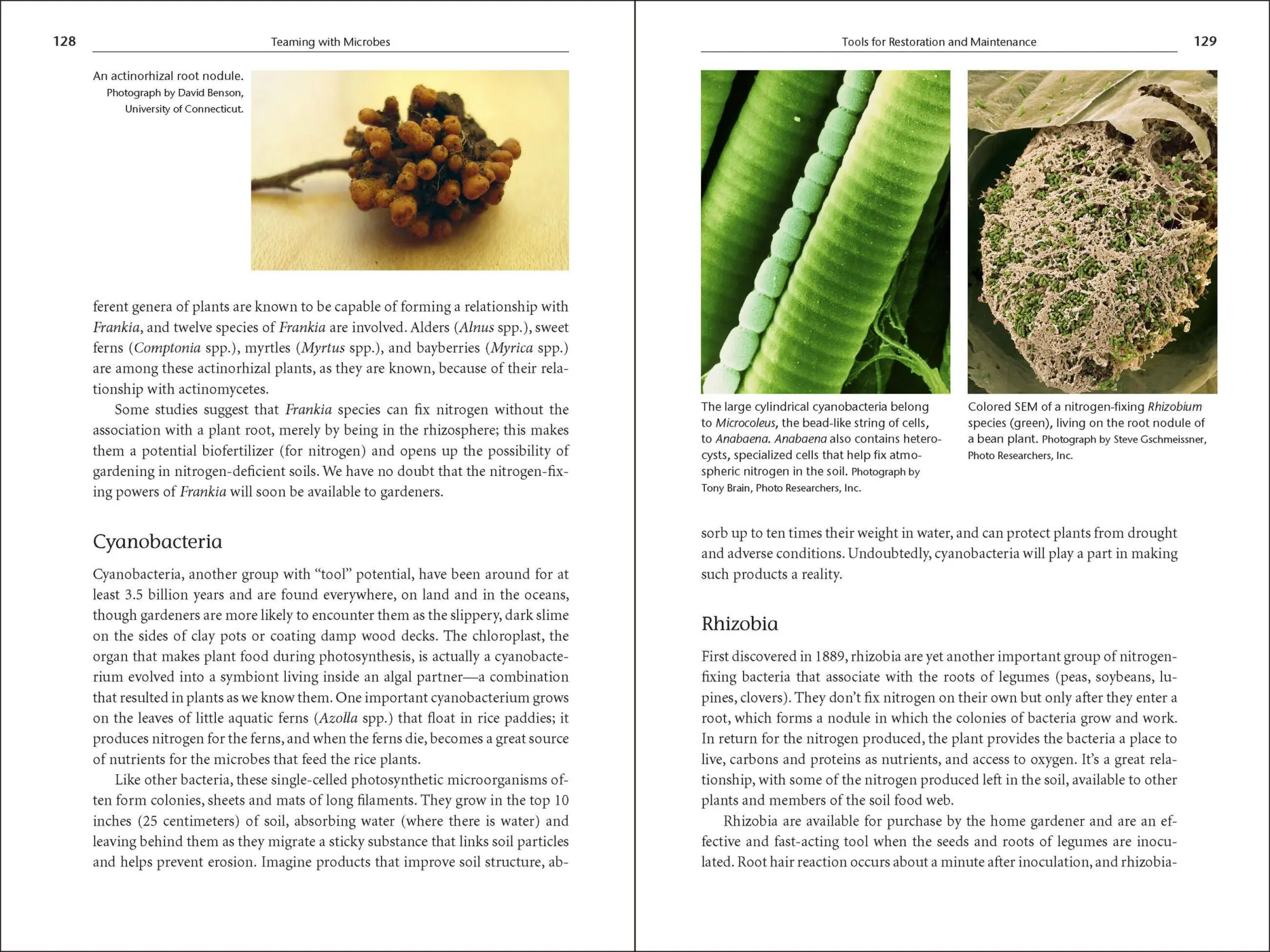 Bild: 9781604691139 | Teaming with Microbes | Jeff Lowenfels (u. a.) | Buch | Gebunden