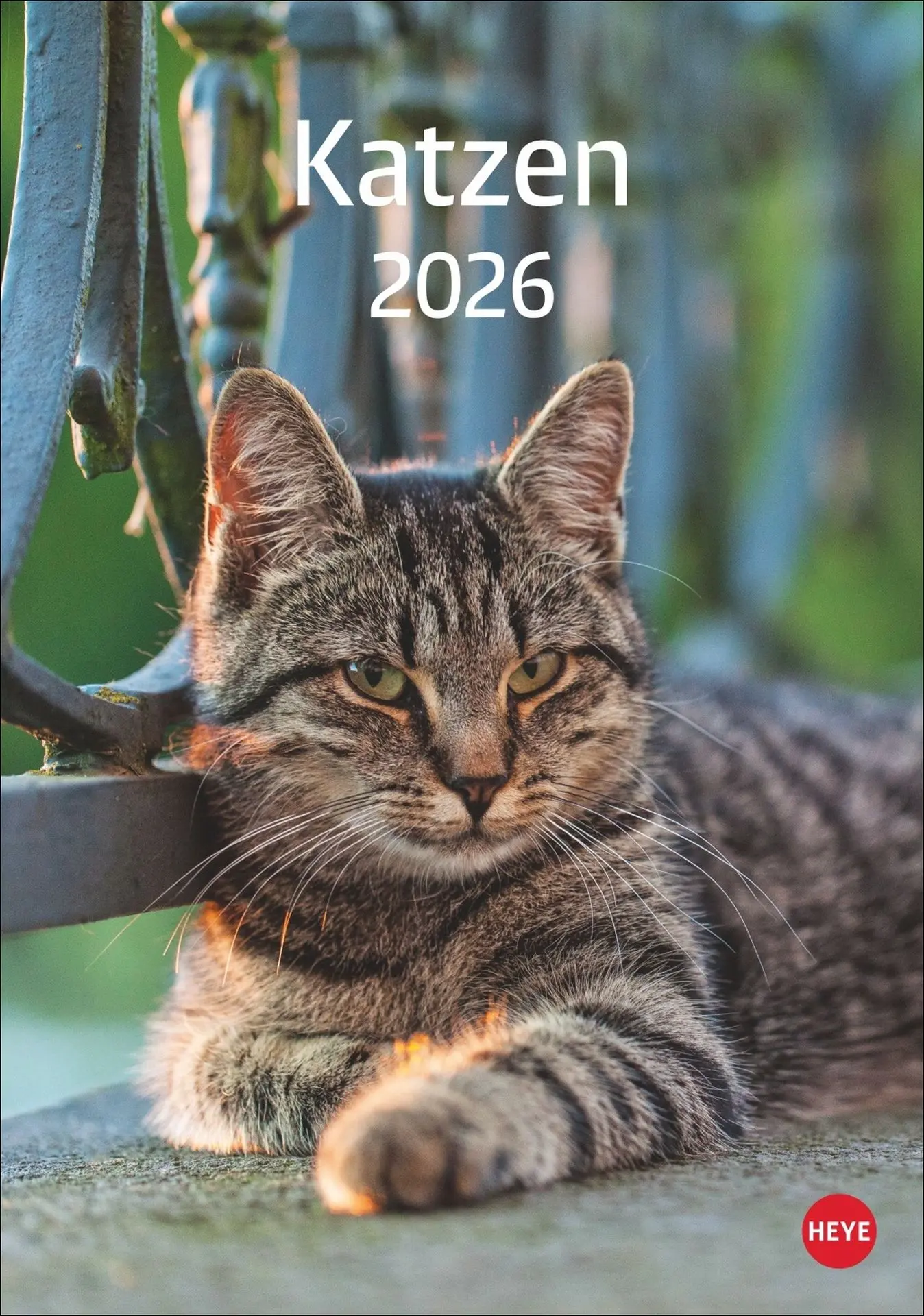 Cover: 9783756411139 | Katzen Kalender 2026 | Heye | Kalender | Spiralbindung | 13 S. | 2026