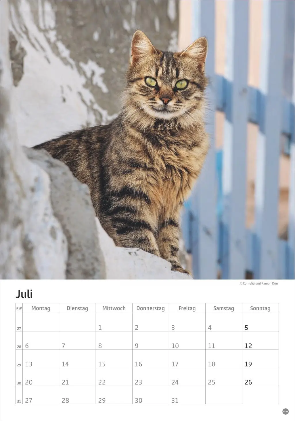 Bild: 9783756411139 | Katzen Kalender 2026 | Heye | Kalender | Spiralbindung | 13 S. | 2026
