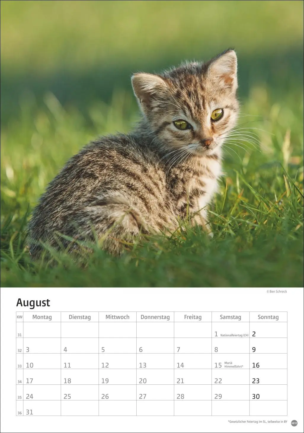Bild: 9783756411139 | Katzen Kalender 2026 | Heye | Kalender | Spiralbindung | 13 S. | 2026