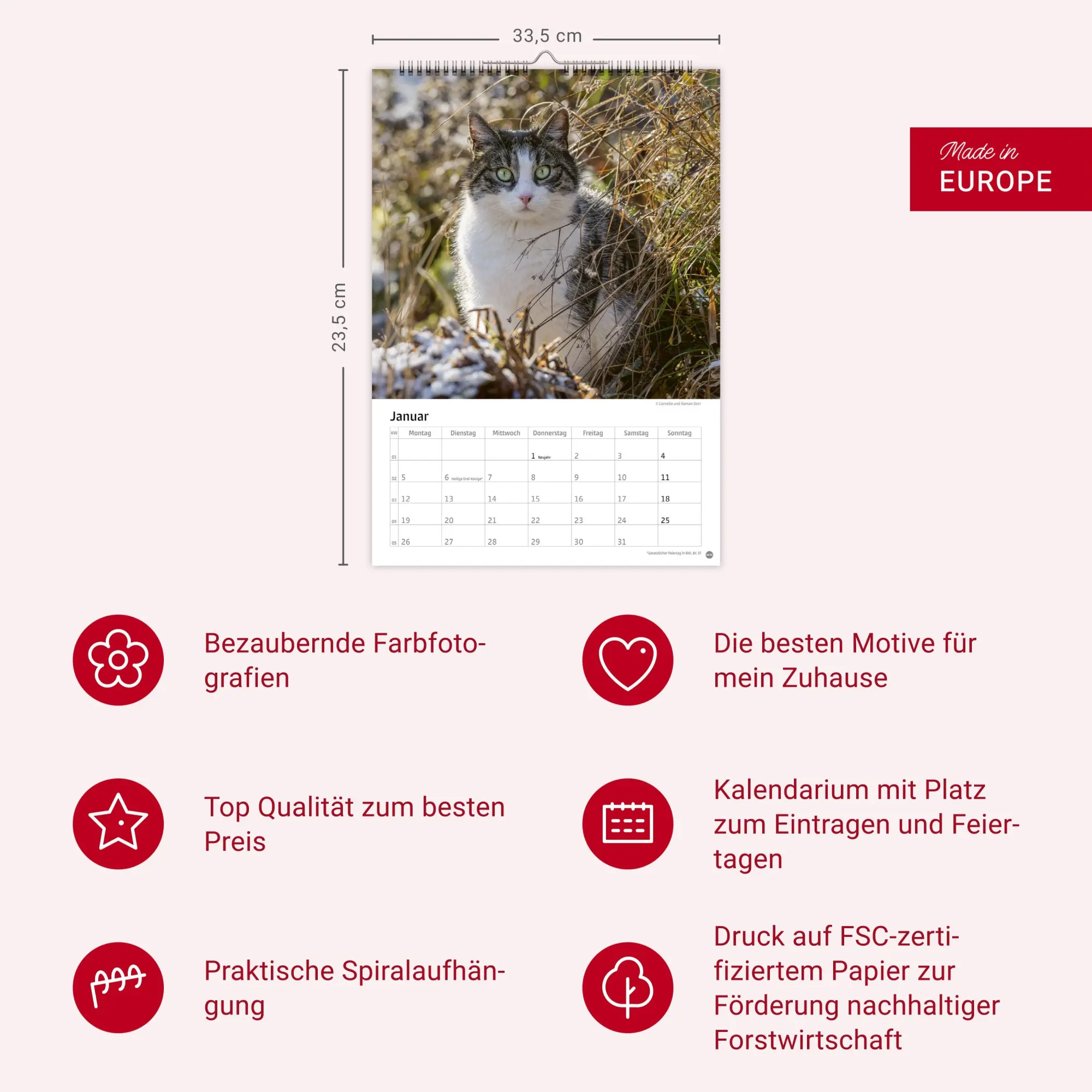 Bild: 9783756411139 | Katzen Kalender 2026 | Heye | Kalender | Spiralbindung | 13 S. | 2026