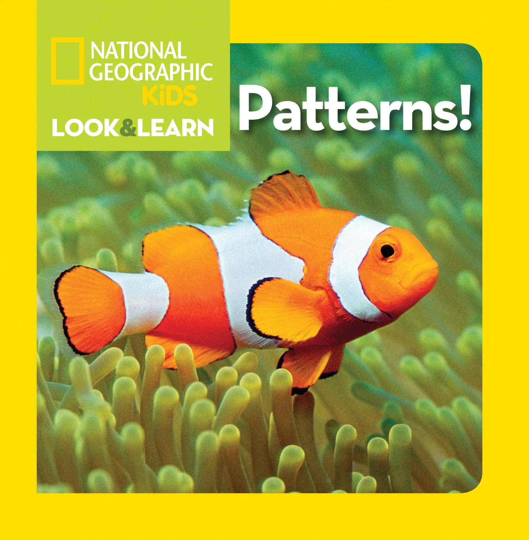 Cover: 9781426311239 | National Geographic Kids Look and Learn: Patterns! | Kids | Buch