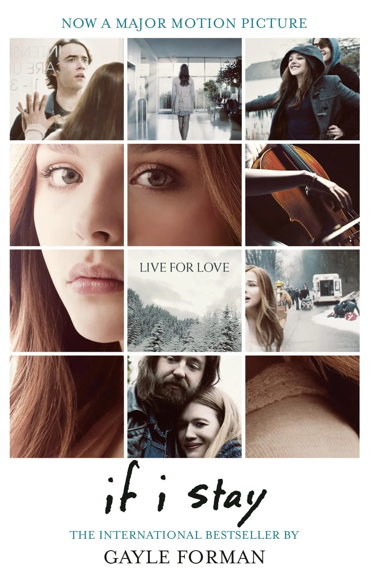 Cover: 9781909531239 | If I Stay | Gayle Forman | Taschenbuch | 256 S. | Englisch | 2014