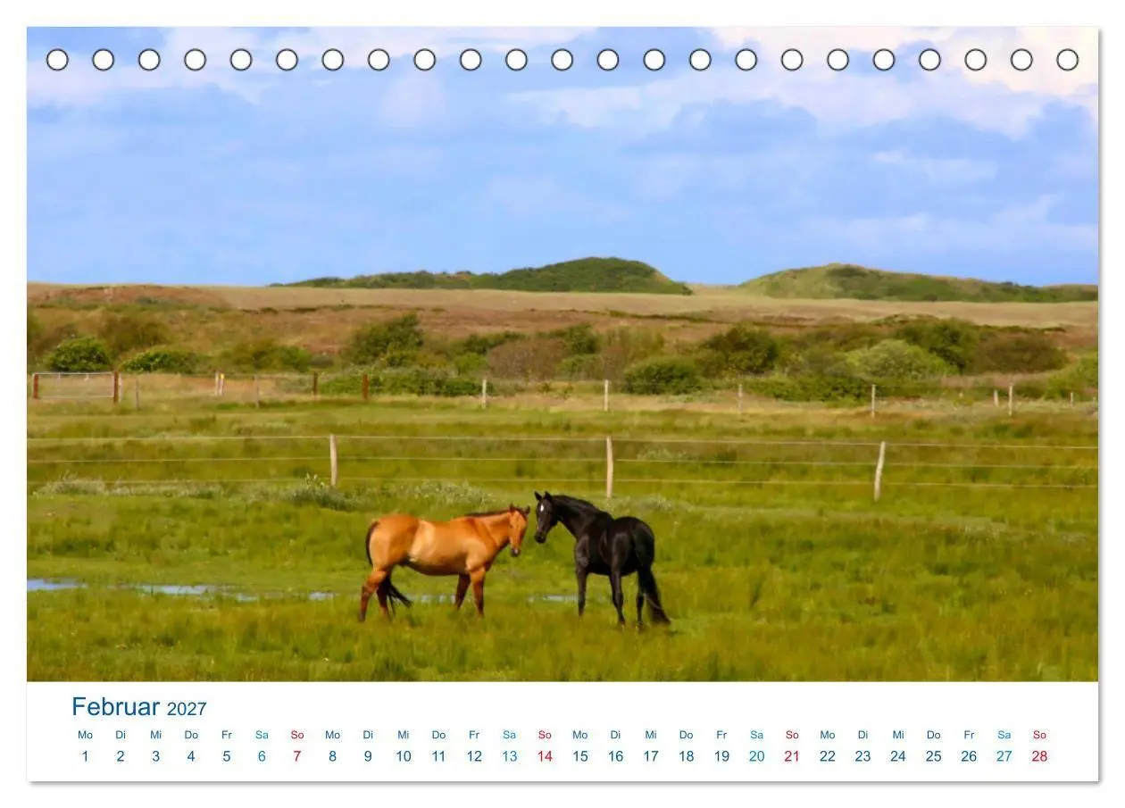 Bild: 9783569841239 | Langeoog 2027. Impressionen zwischen Hafen und Ostende...